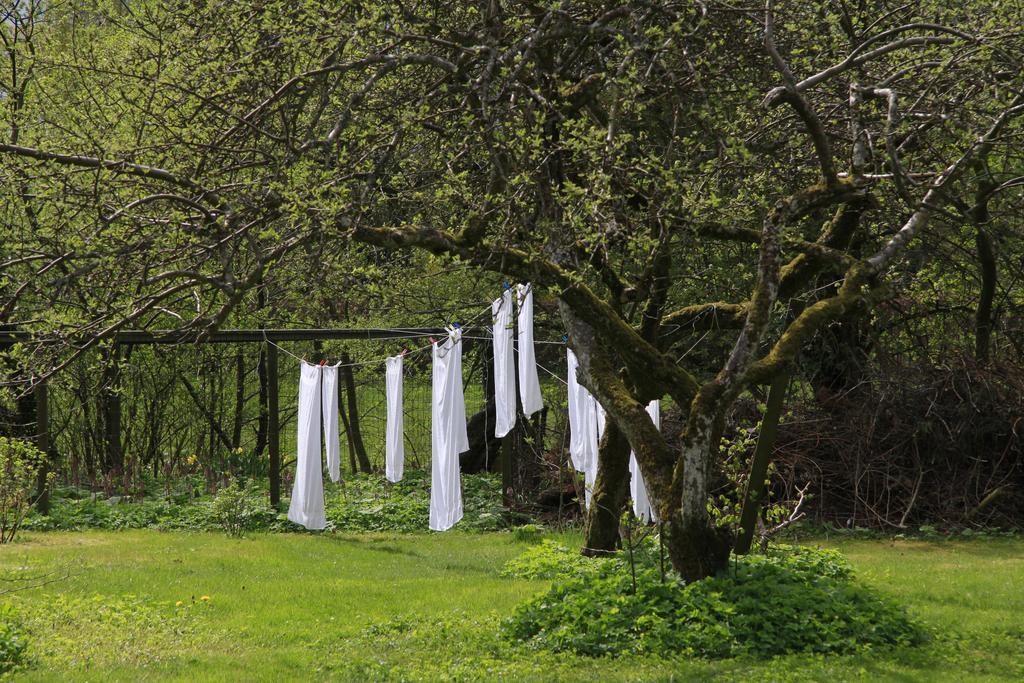 Vemmetofte Praestegard Faxe Buitenkant foto