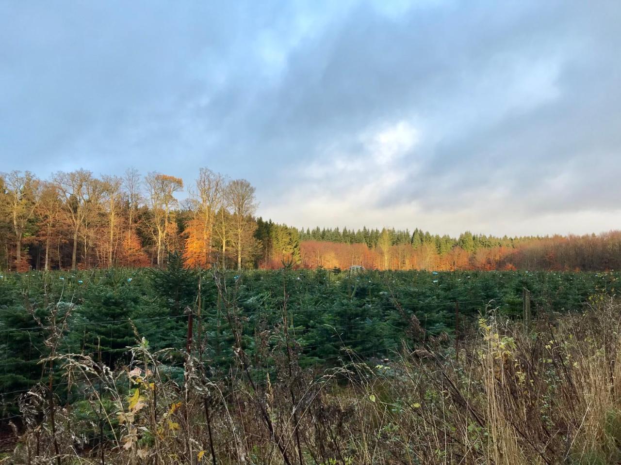 Vemmetofte Praestegard Faxe Buitenkant foto